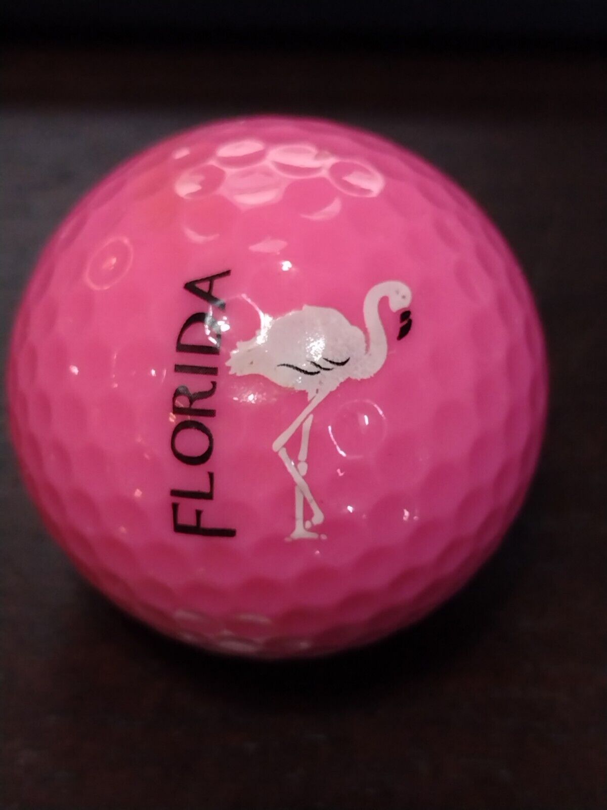 Logo Golf Ball----Florida Flamingo