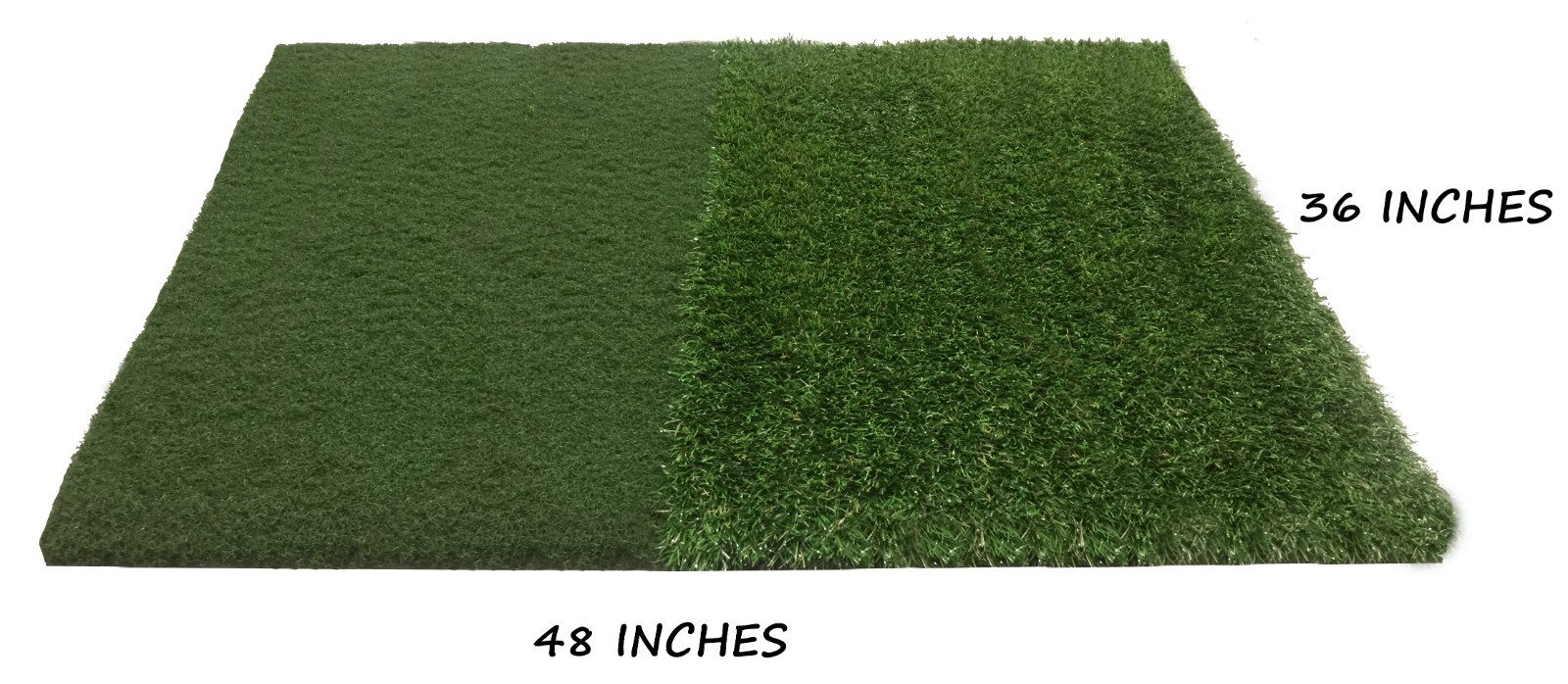 36