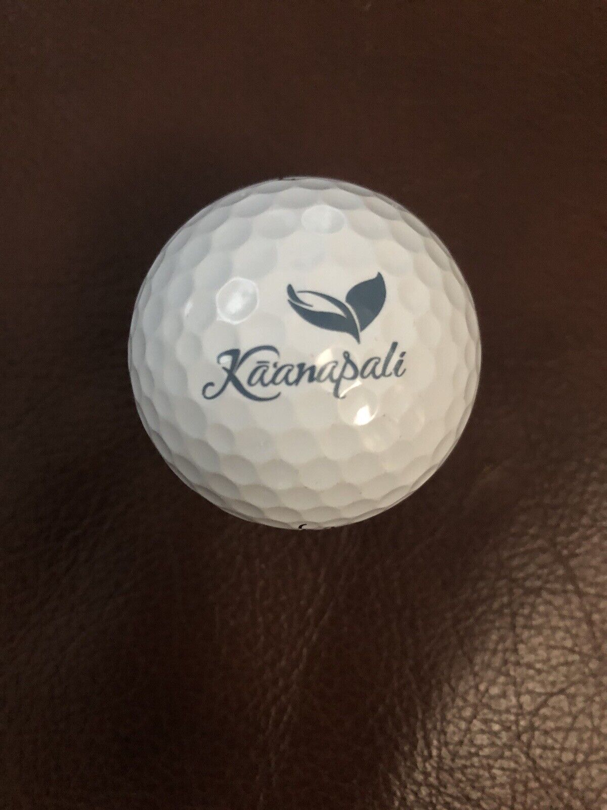 Kaanapali Souvenir Golf Ball Titleist pro V1
