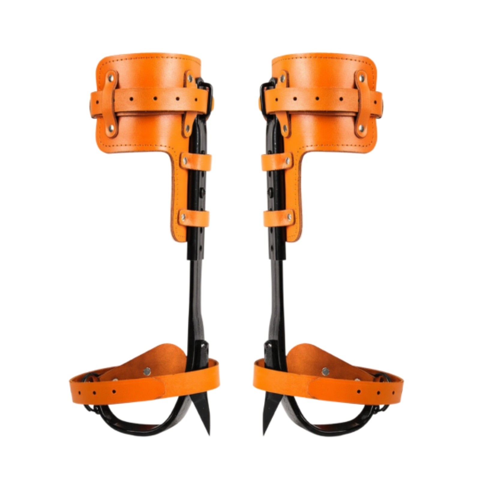 Tree Ascent Spurs with Bovine Leather Leather Straps Padded Gear Sturdy Tree Ascent Spurs with Bovine Leather Leather Straps Padded Gear Sturdy