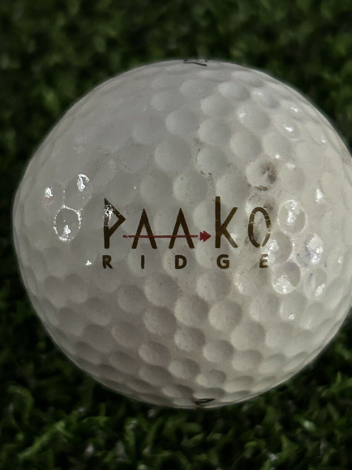 Paako Ridge Golf Club Logo Golf Ball- Sandia Park New Mexico NM