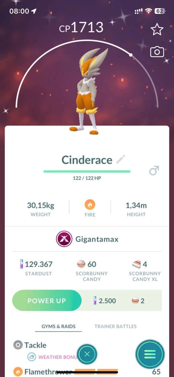 Pokémon G0 - shiny Cinderace Gigamax - only PTC Pokémon G0 - shiny Cinderace Gigamax - only PTC